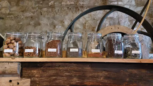 Samen vor der Verarbeitung | Foto: Elfriede Baier 