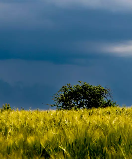 Foto: Heinz Froelian