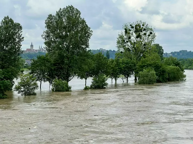 Moni Bordt dokumentierte den Blick von der Eisenbahnbrücke in Bad Friedrichshall-Jagstfeld nach Bad Wimpfen. | Foto: Moni Bordt