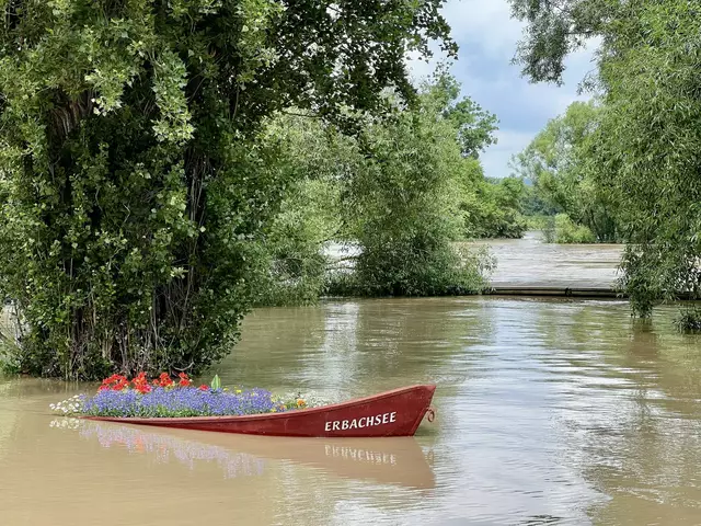 Das Hochwasser im Mai und Juni 2024 machte sich in weiten Teilen der Region Heilbronn bemerkbar: "Der Neckar fängt eigentlich erst hinter dem Steg an", bemerkt Moni Bordt. | Foto: Moni Bordt