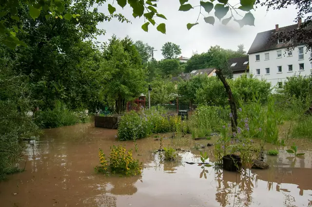 Auch viele Gärten, wie hier in Oedheim, waren vom Hochwasser betroffen. | Foto: Anneliese Herold