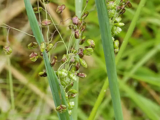 Foto: Heidrun Rosenberger