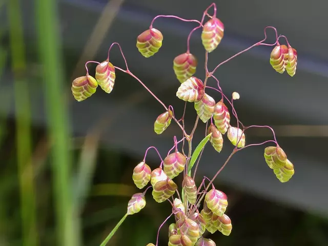 Foto: Heidrun Rosenberger