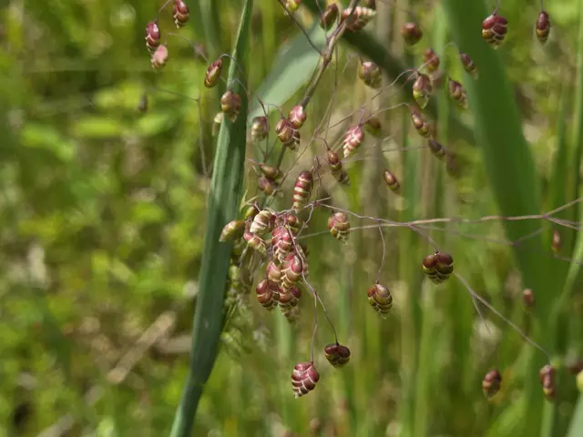 Foto: Heidrun Rosenberger