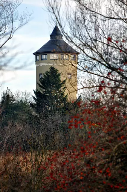 Der Wasserturm in Böckingen. Immer ein Hingucker. | Foto: Daniela Somers