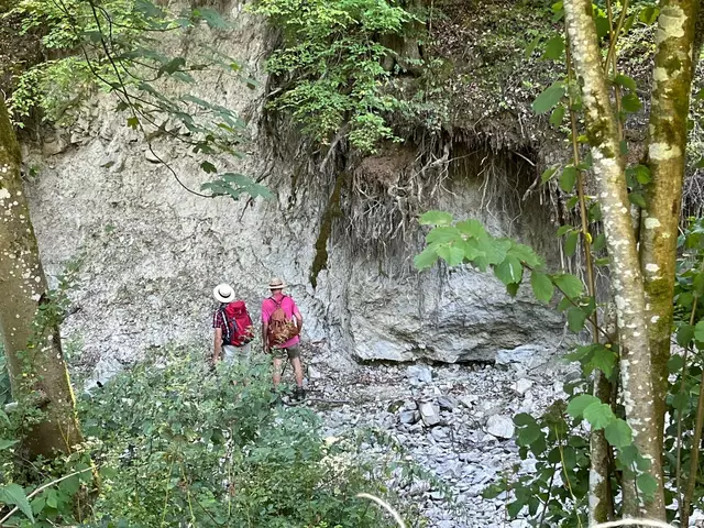 Der Deubach schafft | Foto: Natur- und Landschaftsführer Hohenlohe e.V.