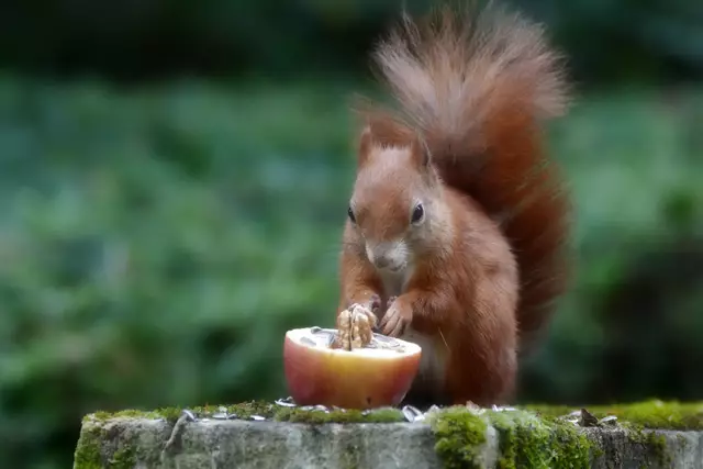...die Freude ist gross... | Foto: Moni Bordt