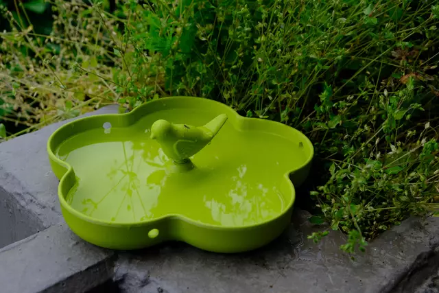 Foto: Eduard Warenik