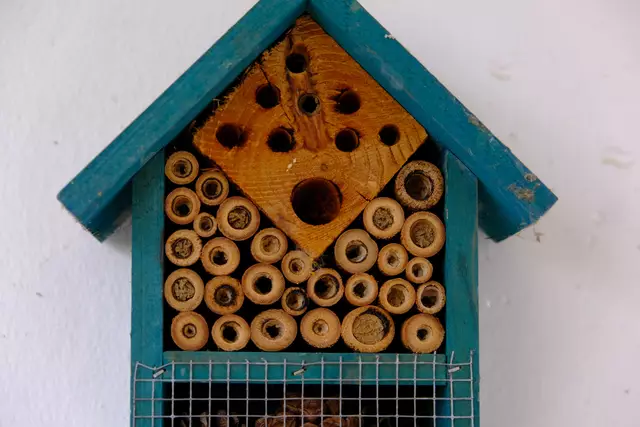 Foto: Eduard Warenik