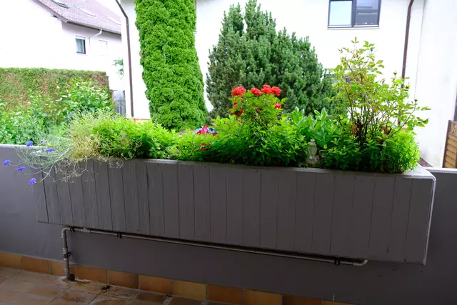 Foto: Eduard Warenik