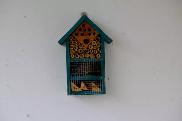 Foto: Eduard Warenik