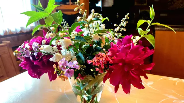 Etwas Sonne aus dem Garten geholt😍🌞 | Foto: Ralf Röser