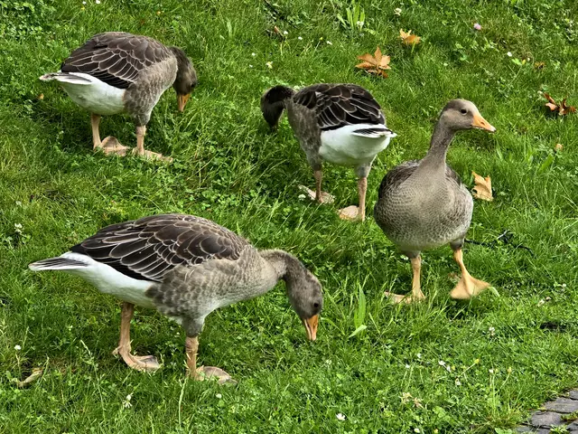 Foto: Heidrun Rosenberger