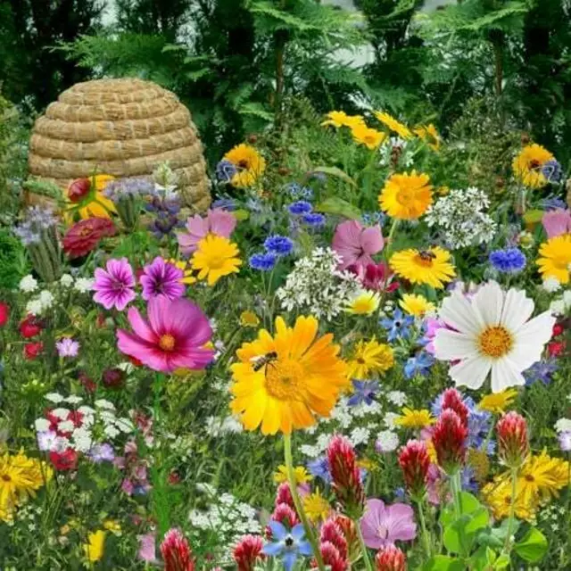 Foto: Bienenzuchtverein Hohenlohe-Öhringen