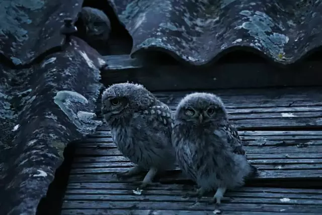 ich hoffe ich hab euch nicht geweckt.      | Foto: G.S.