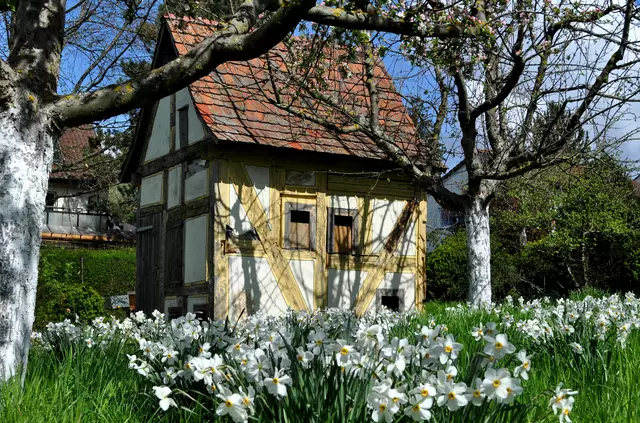 Botanischer Obstgarten. Historisches Gartenhäuschen. Heute das Bienenhaus des Parks. | Foto: Daniela Somers