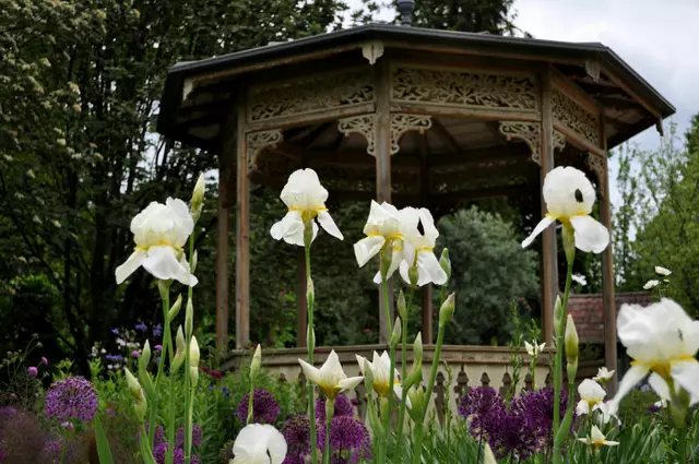Botanischer Obstgarten. Staudenbeete, Obstbäume und historische Pavillons gibts hier zu sehen. | Foto: Daniela Somers