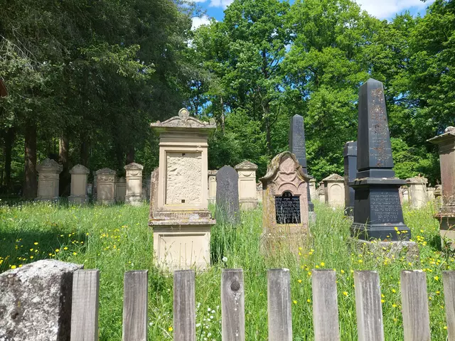 Nachdem der 1. jüdische Friedhof (1723) 1811 der Fasanerie des Königs Friedrich I weichen musste, wurde am Fuß des Seebergs ein neuer Friedhof angelegt. Das älteste Grab stammt von 1811, das jüngste und letzte von 1970. | Foto: Foto privat