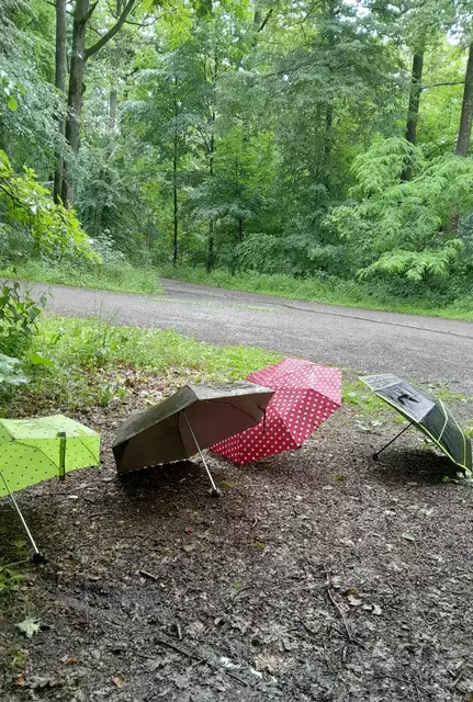 Vor der Pfeifferhütte werden die Schirme nach dem Regen getrocknet. | Foto: Foto privat