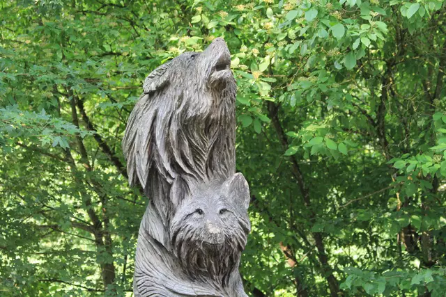 Wildpark Bad Mergentheim | Foto: Ralf Röser