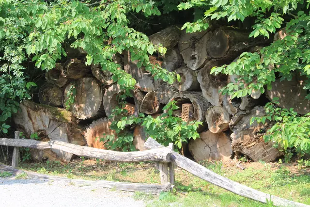 Wildpark Bad Mergentheim | Foto: Ralf Röser
