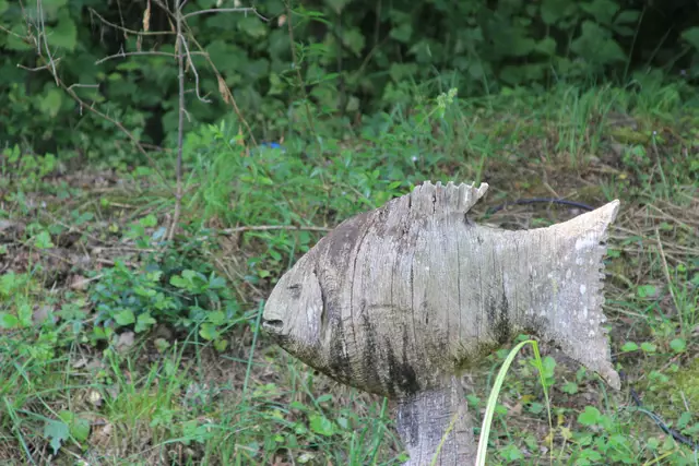 Wildpark Bad Mergentheim | Foto: Ralf Röser