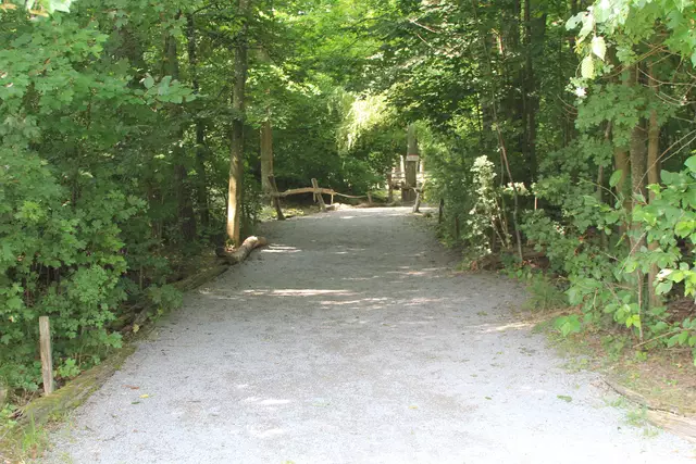 Wildpark Bad Mergentheim | Foto: Ralf Röser