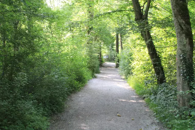 Wildpark Bad Mergentheim | Foto: Ralf Röser