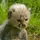 Foto: Eigenes Bild TB