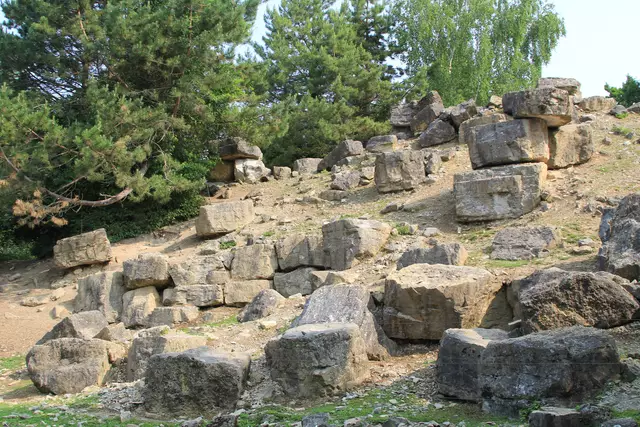 Wildpark Bad Mergentheim | Foto: Ralf Röser