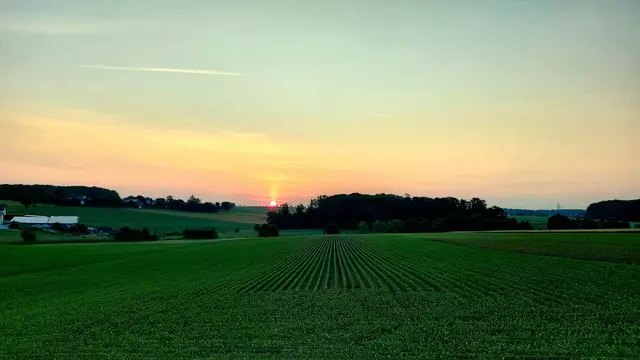 Sonnenaufgang zwischen Kupferzell und Gaisbach | Foto: Ralf Röser