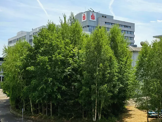 Das Klimawäldchen am Wollhaus. | Foto: Heidrun Rosenberger