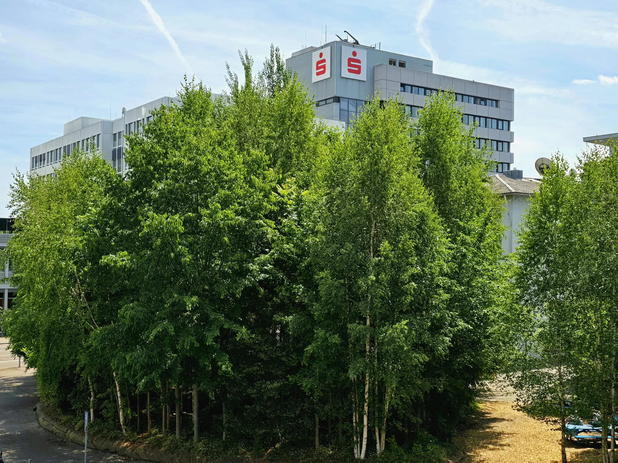 Sommer Sonne Heilbronn Und Die Perfekte Agentur An Ihrer Seitefeed