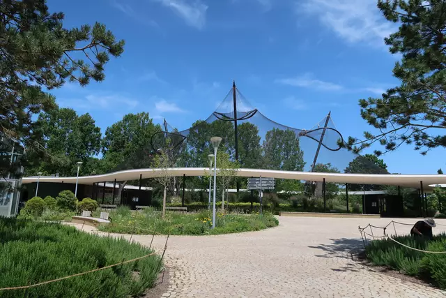 Foto: Eduard Warenik