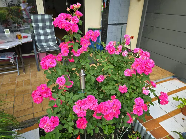 Foto: Heidrun Rosenberger