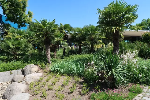 Foto: Eduard Warenik