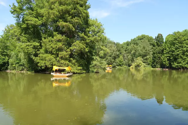 Foto: Eduard Warenik