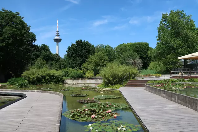 Foto: Eduard Warenik