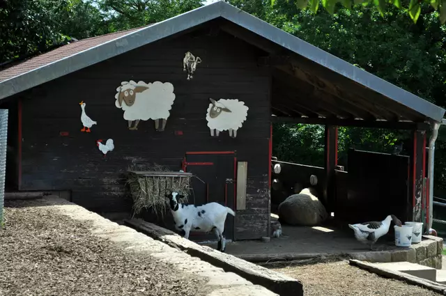 Im Tiergehege tummeln sich viele verschieden Tiere | Foto: Daniela Somers