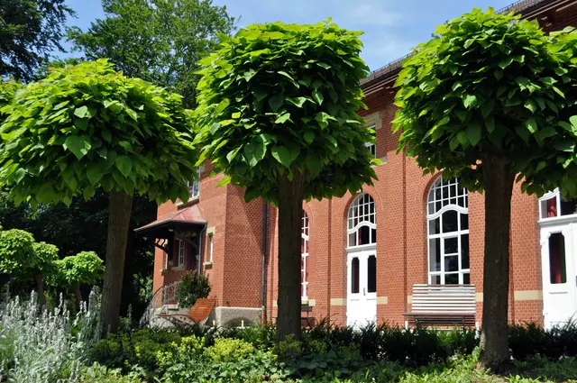 Das Gebäude des Festsaals | Foto: Daniela Somers