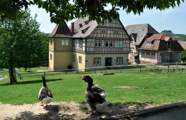 Blick auf das ehemalige Gutshofgebäude. Hier ist auch der kleine Tierpark. | Foto: Daniela Somers