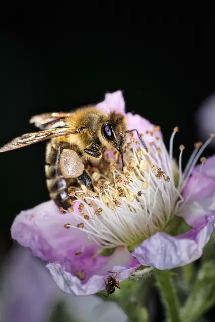 Foto: Yvonne Sperber