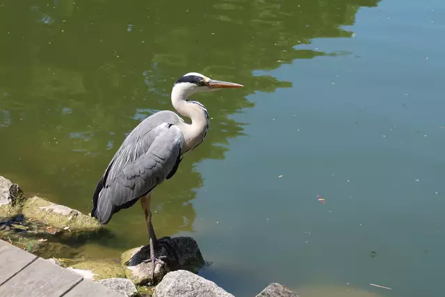 Foto: Eduard Warenik