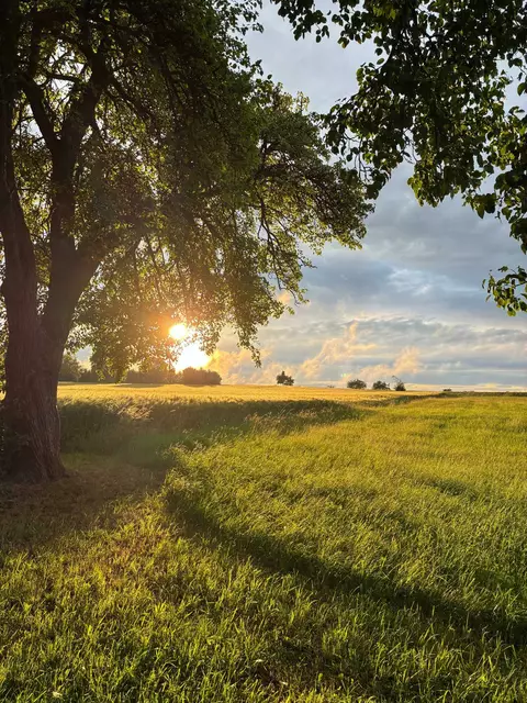 Foto: VCP Limestor Sindringen Ernsbach