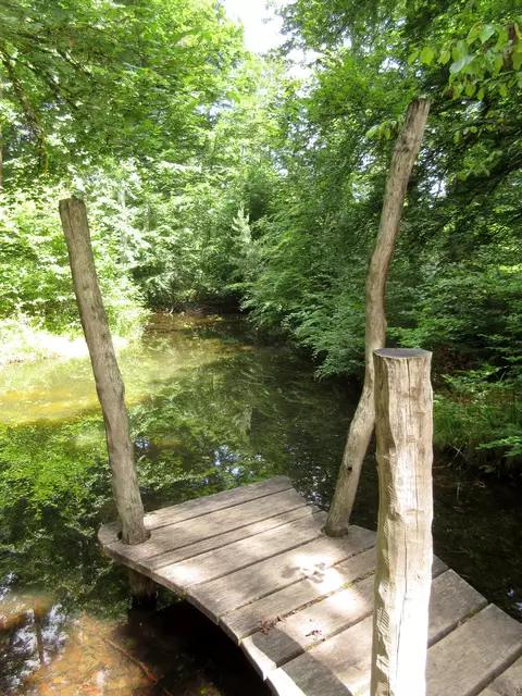 Badwette, viele Libellen und Froschkonzert | Foto: WandernGabyErich