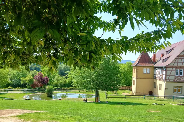 Ein kleiner Teich im Tiergehege sorgt bei Gänsen und Enten für angenehme Abkühlung.  | Foto: sigischlottke