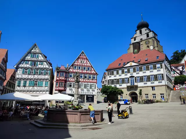 Herrenberg mit den schönen Fachwerkhäusern | Foto: Aurelia Kling