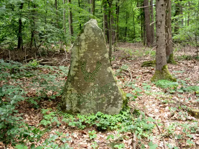 Peter-Schanz-Weg, geplante Sehenswürdigkeit | Foto: WandernGabyErich