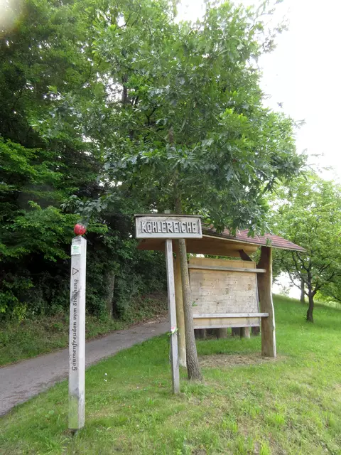 Köhlereiche kurz vor Mönchberg | Foto: WandernGabyErich