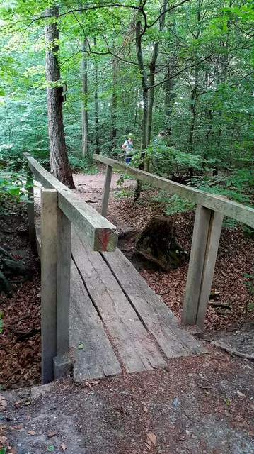 Abwechslung unterwegs | Foto: WandernGabyErich